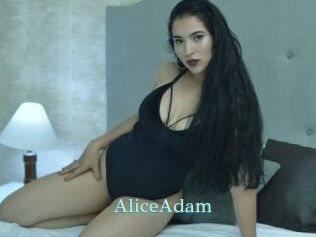 AliceAdam