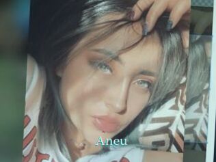 Aneu