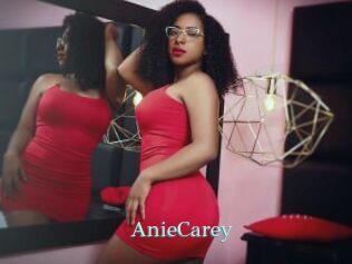 AnieCarey