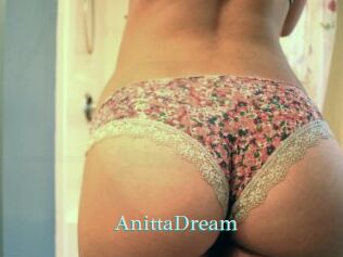 AnittaDream