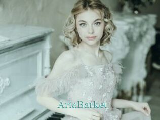 AriaBarket
