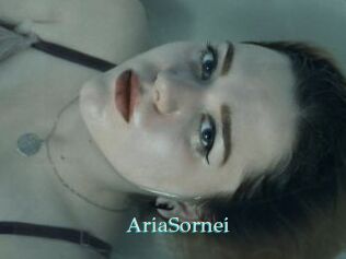 AriaSornei