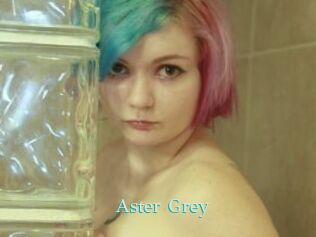 Aster_Grey