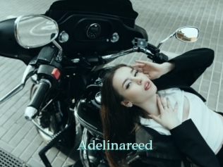Adelinareed