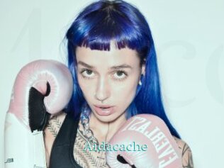 Aidacache