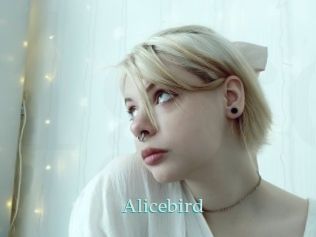 Alicebird