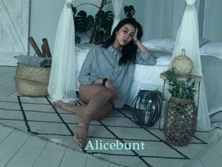 Alicebunt