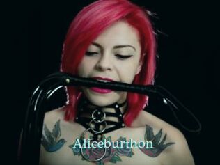 Aliceburthon