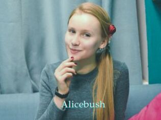 Alicebush