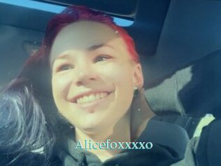 Alicefoxxxxo