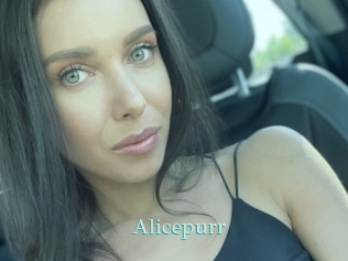 Alicepurr