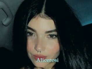 Alicerosi