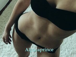 AlpacaPrince