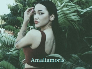 Amaliamoris