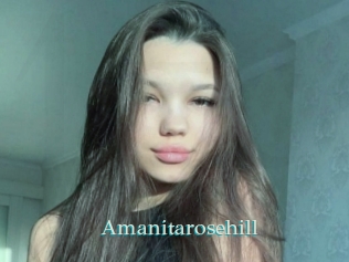 Amanitarosehill