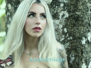 Ameliebriidge