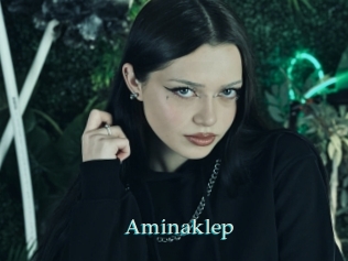 Aminaklep