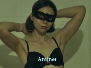 Aminet