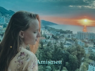 Amismett