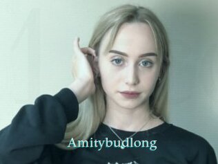 Amitybudlong