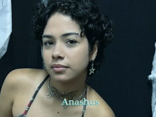 Anashus