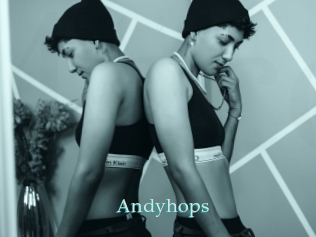 Andyhops