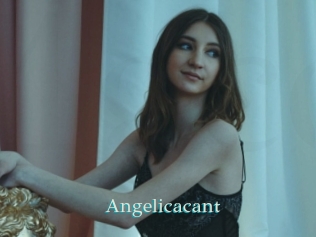 Angelicacant