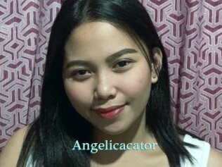 Angelicacator