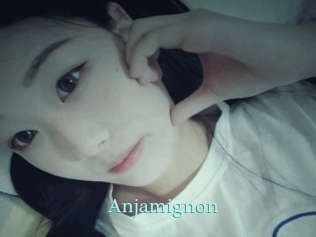 Anjamignon