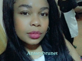 Antarabrunet
