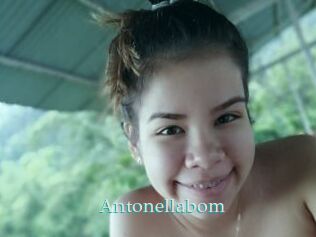Antonellabom