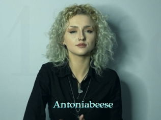 Antoniabeese