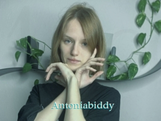 Antoniabiddy