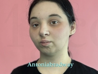 Antoniabradway