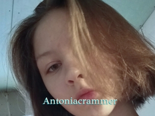 Antoniacrammer