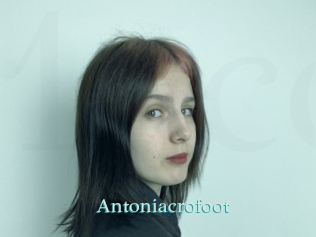 Antoniacrofoot