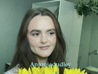 Antoniadudley