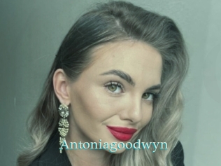 Antoniagoodwyn