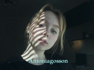 Antoniagosson