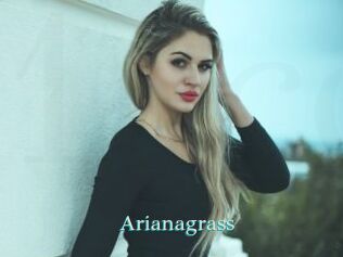 Arianagrass