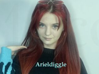 Arieldiggle
