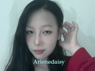 Arlenedaisy