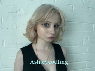 Ashleycodling