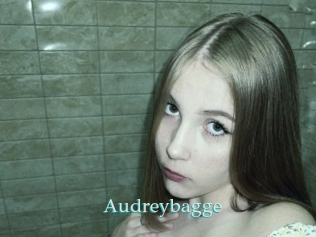 Audreybagge