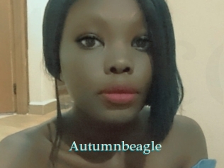 Autumnbeagle