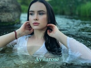 Avilarose