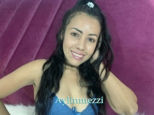 Aylinmezzi