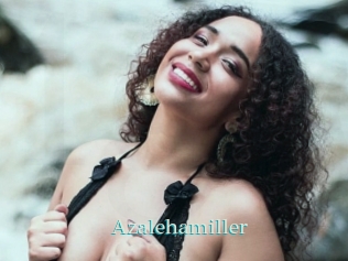 Azalehamiller