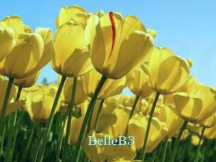BelleB3