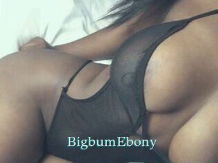 BigbumEbony